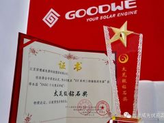 固德威儲能逆變器斬獲太瓦級鉆石獎，2019SNEC完美收官！