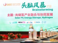 新年展新“綠”，“綠電”制氫加速！ SNEC氫能產(chǎn)業(yè)聯(lián)盟2022(第一季度)頭腦風暴隆重舉行