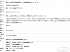 超5億元！西藏綠氫綠醇項目中標公示