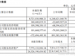 扭虧為盈、凈賺1.09億！鋰電巨頭的“翻身仗”勝了嗎？